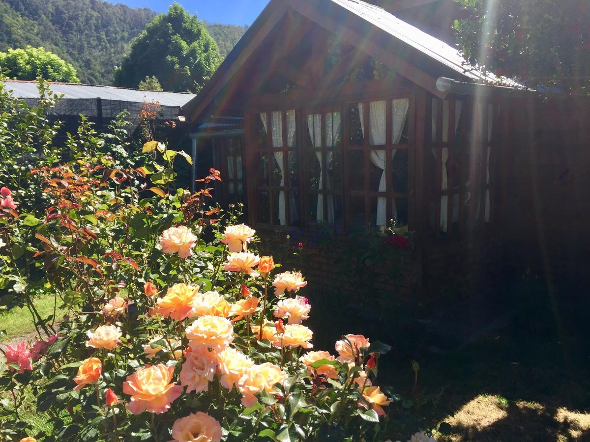 San Martín de los Andes Tu Cabana מראה חיצוני תמונה